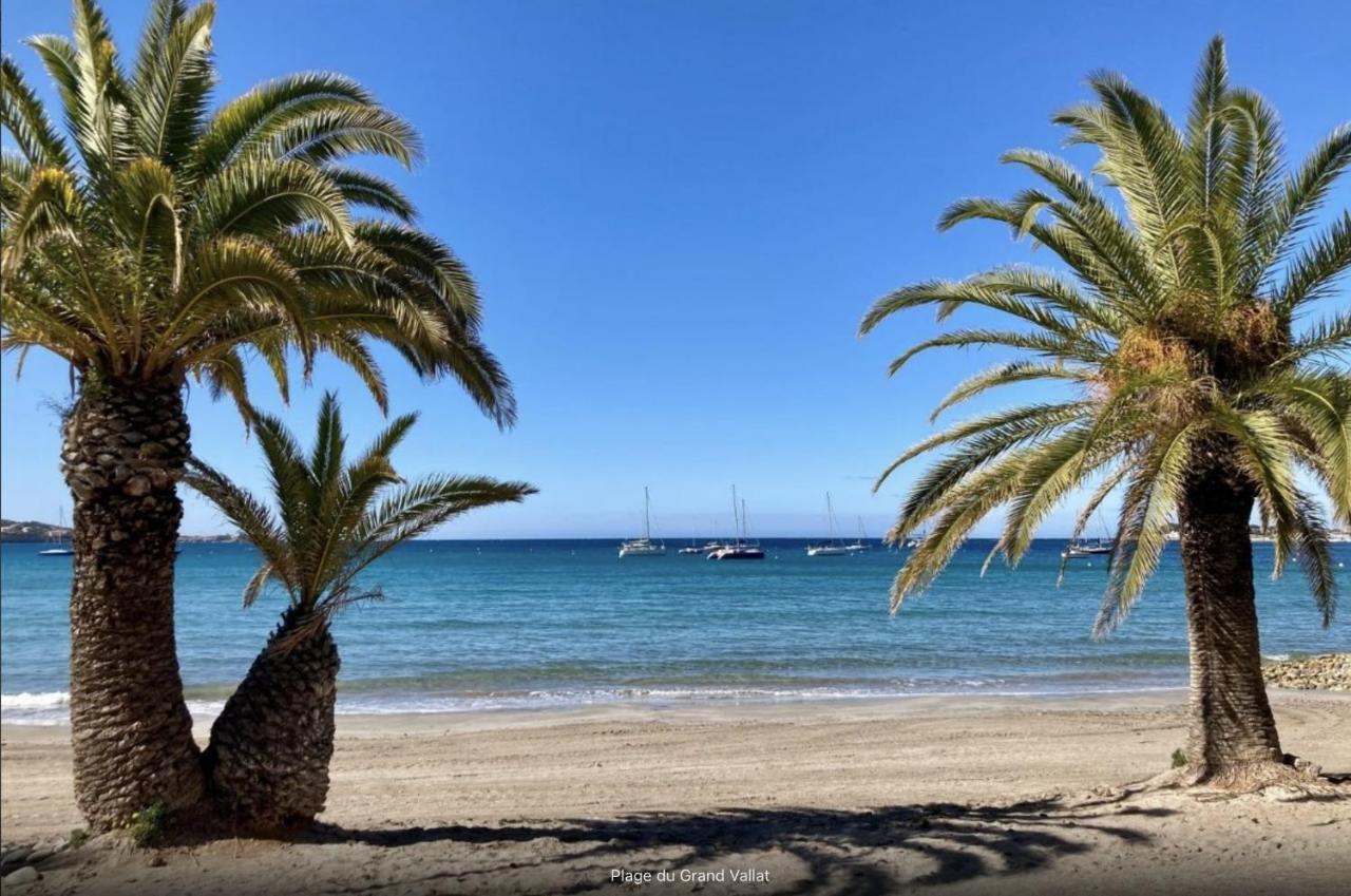 Bandol: Elegant Et Cosy 2 Pieces, Proche Ville Et Plage ภายนอก รูปภาพ